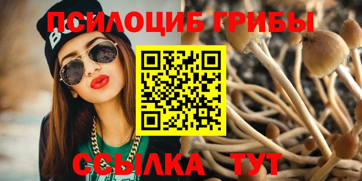 Обь  Псилоцибиновые грибы MAGIC MUSHROOMS  Вход с VPN  Псилоцибиновые грибы мицелий 